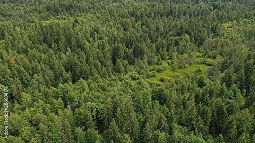 Aerial view of small clearance with low shrubs surrounded by mostly coniferous mountain forest. Location under High Tatras mountains, northern Slovakia, central Europe.