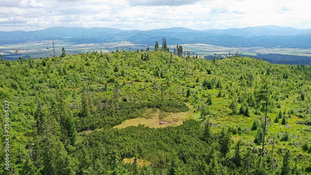 Aerial view of coniferous forest in High Tatras, Slovakia, during summer season,   recovering after disastrous windstorm, agricultural fields in background. 
