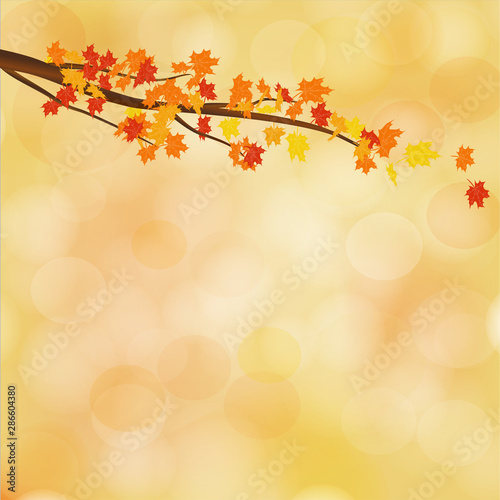 Branch with leaves on a beautiful autumn background