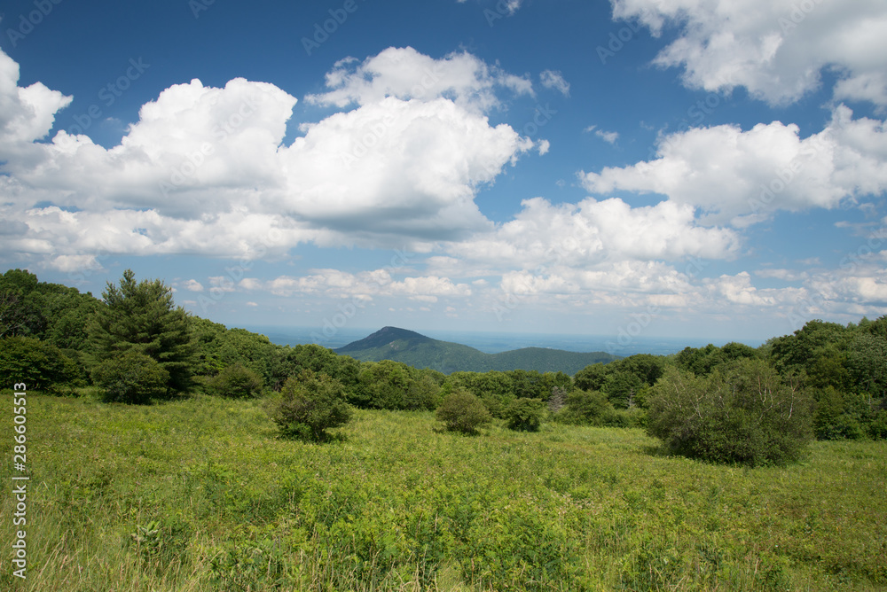 Shenandoah