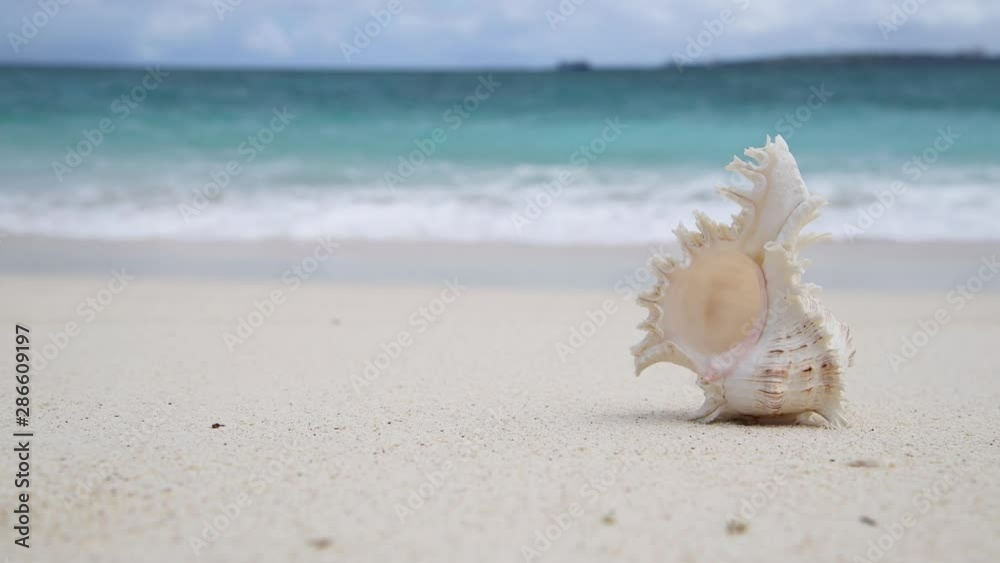 美しい沖縄の海 美しい沖縄の海