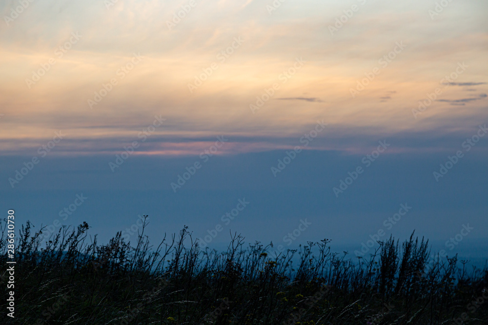 Silhouetted grasses at sunset, along the South Downs Way in Sussex