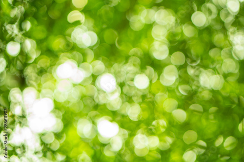 Green color bokeh background
