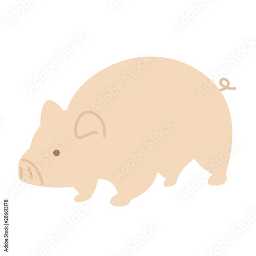 豚