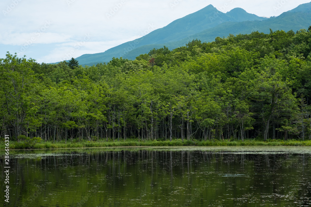 北海道＿世界自然遺産＿知床＿真夏の知床五湖と硫黄山