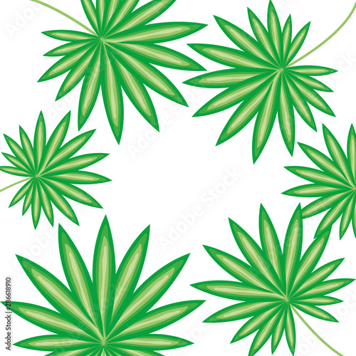 exotic and tropical leafs plants pattern
