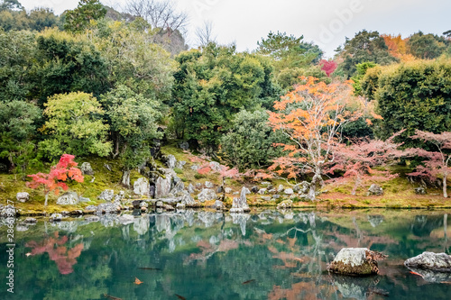 Japanese garden pond with bright fish, orange and red trees, mossy bank and gray stones photo