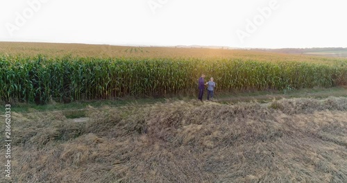 Wallpaper Mural Young Farmers Discussing At Maize Field Agriculture Torontodigital.ca