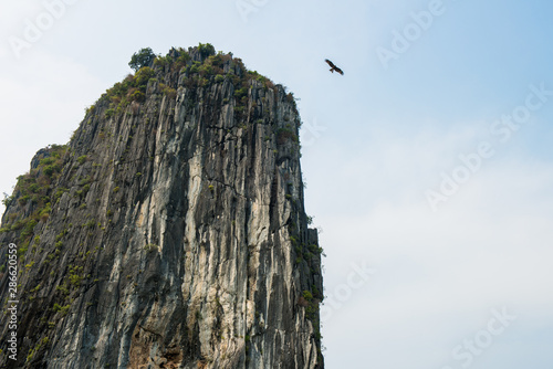 The big eagle flying over the karst landscape of Halong Bay the UNESCO world heritage site in Vietnam. 