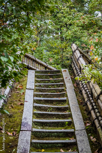 Old stone steps with moss and bamboo railing lead up under pine trees in a Japanese garden