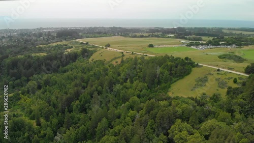 Aerial Dolly Forward of Green Hills and Trees Near Ocean photo