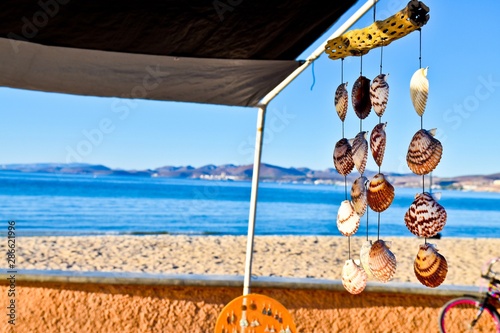 A photo of shells from the beach in La Paz, Mexico. Its a beautiful holiday spot with clear blue water and white sand. photo