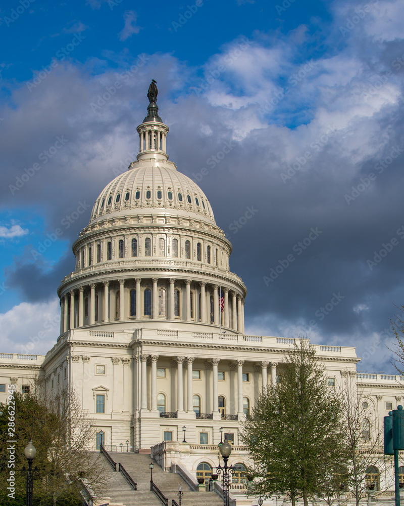 Naklejka premium US Capitol Dome
