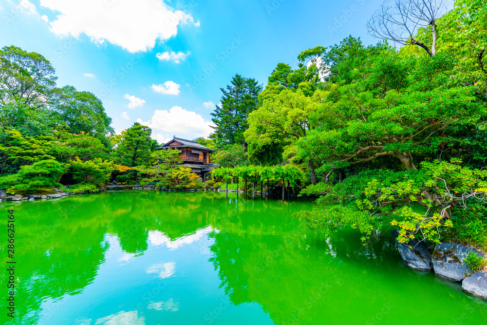 Fototapeta premium 京都御所 京都観光 日本