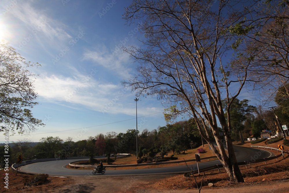 Obraz premium Twisty Road