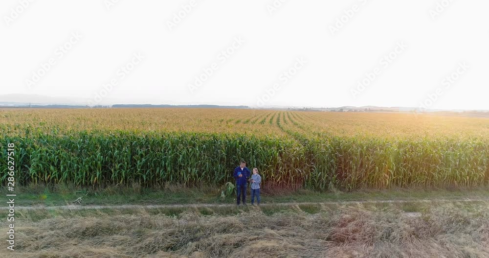 Young Farmers Discussing At Maize Field Agriculture Young Farmers Discussing At Maize Field Agriculture