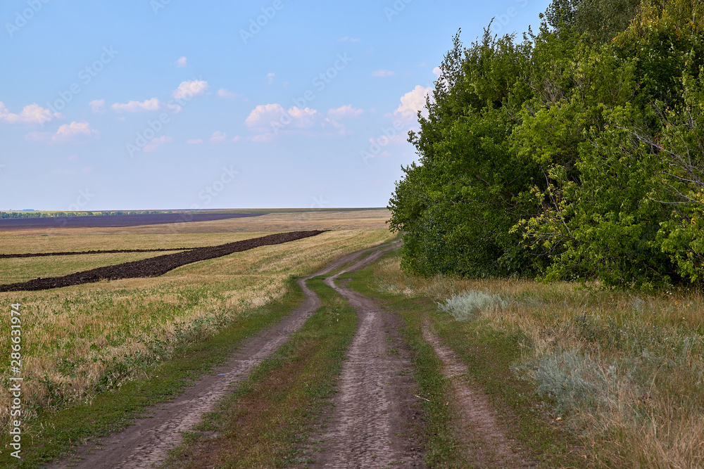 Scenic summer landscape of village road, overgrown with wild grass, ploughed agricultural field, sprinkled with black fertile soil, running to the horizon, and lush green bushes on hot summer day.