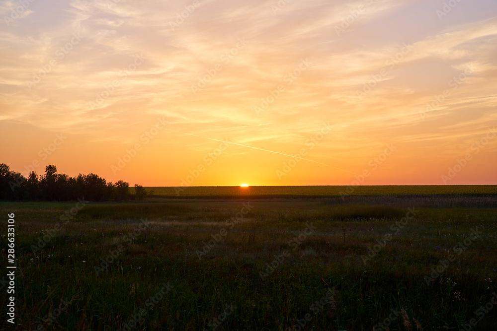 Sunset, nature, field. The sun sets over horizon