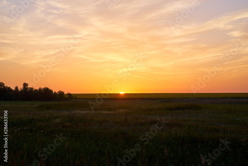 Sunset  nature  field. The sun sets over horizon