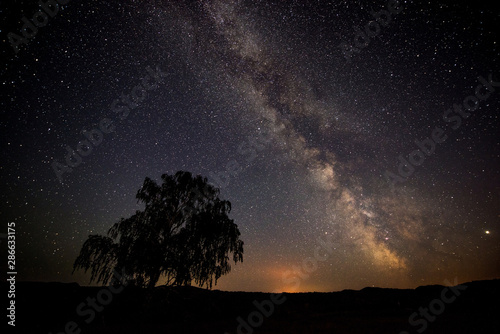 the night sky of August, the milky Way, a lonely tree standing on a mountain and falling stars