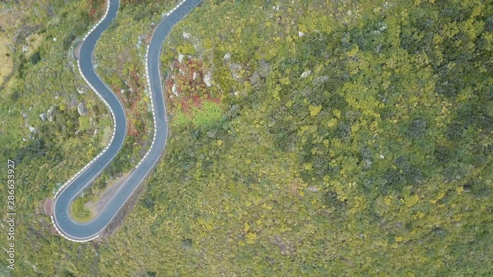 Aerial top view of empty serpentine road in Tenerife, Spain. Canary Mountains covered with green plants. Aerial top view of empty serpentine road in Tenerife, Spain. Canary Mountains covered with green plants.