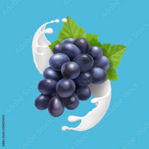 Juicy grapes in milk ot yogurt splash. Realistic milkshake with red grape branch