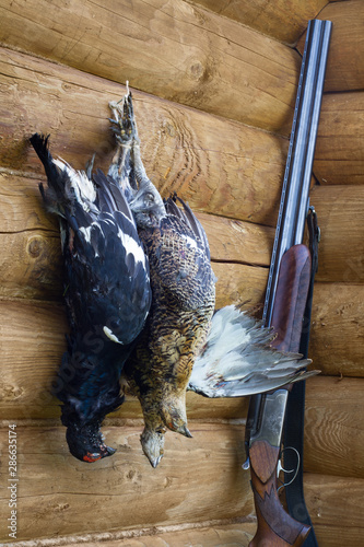 the shotgun and three downed grouses
