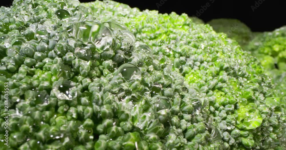 Details of a Broccoli Floret. Extremely macro shot. 4K. Details of a Broccoli Floret. Extremely macro shot. 4K.