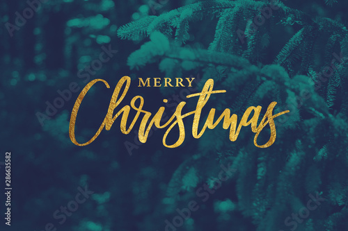 Gold Merry Christmas Script with Duotone Evergreen Branches Background