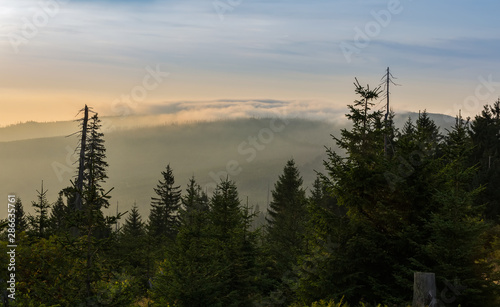 Nice sunrise with trees, distant hill and fog on Tristolicnik. Sumava National Park and Bavarian Forest, Czech republic and Germany