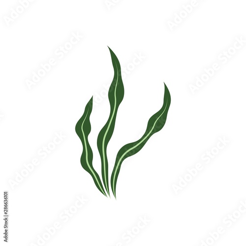 Seaweed logo template vector icon