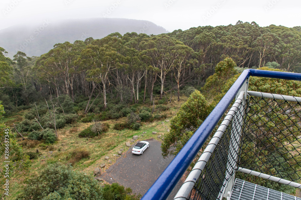 Fototapeta premium road in the mountains