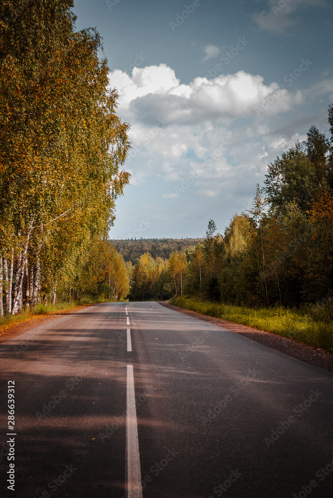 Fototapeta premium autumn for the background