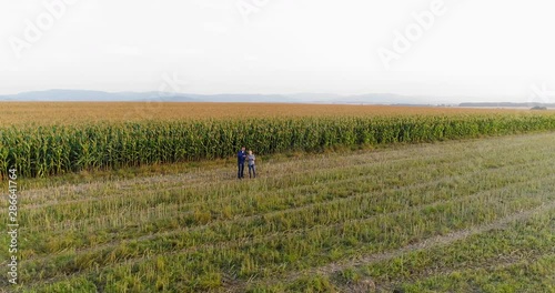 Wallpaper Mural Young Farmers Discussing At Maize Field Agriculture Torontodigital.ca