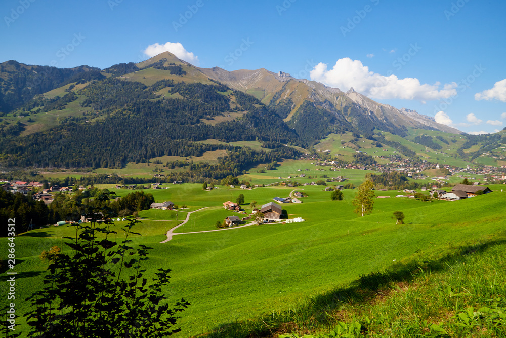 Mountain valley with green grass and village below. View from height