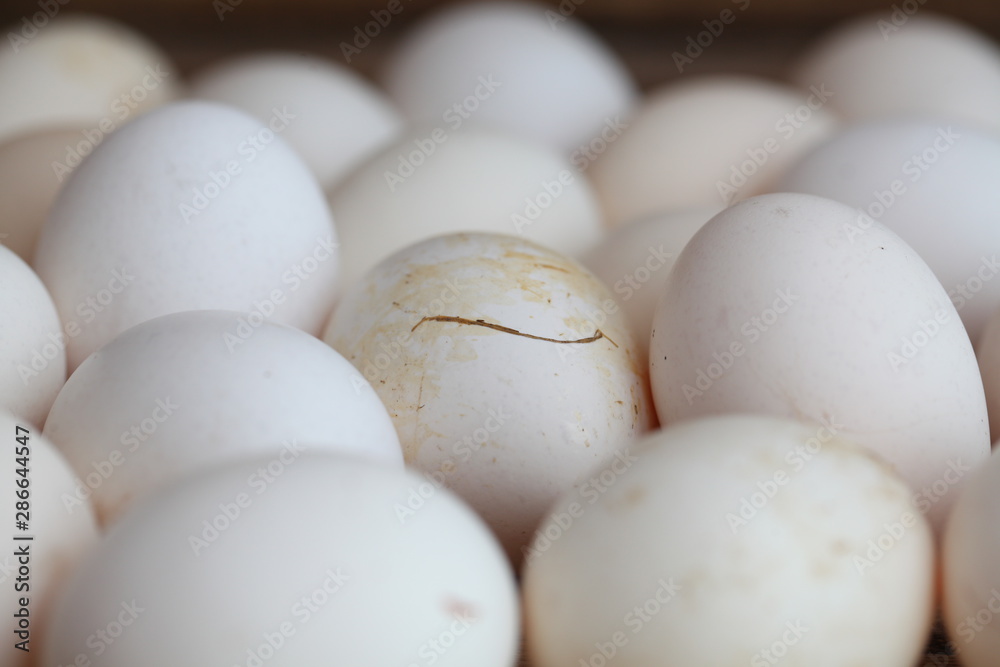 Fresh farm chicken eggs on the counter. Fresh farm chicken eggs on the counter.