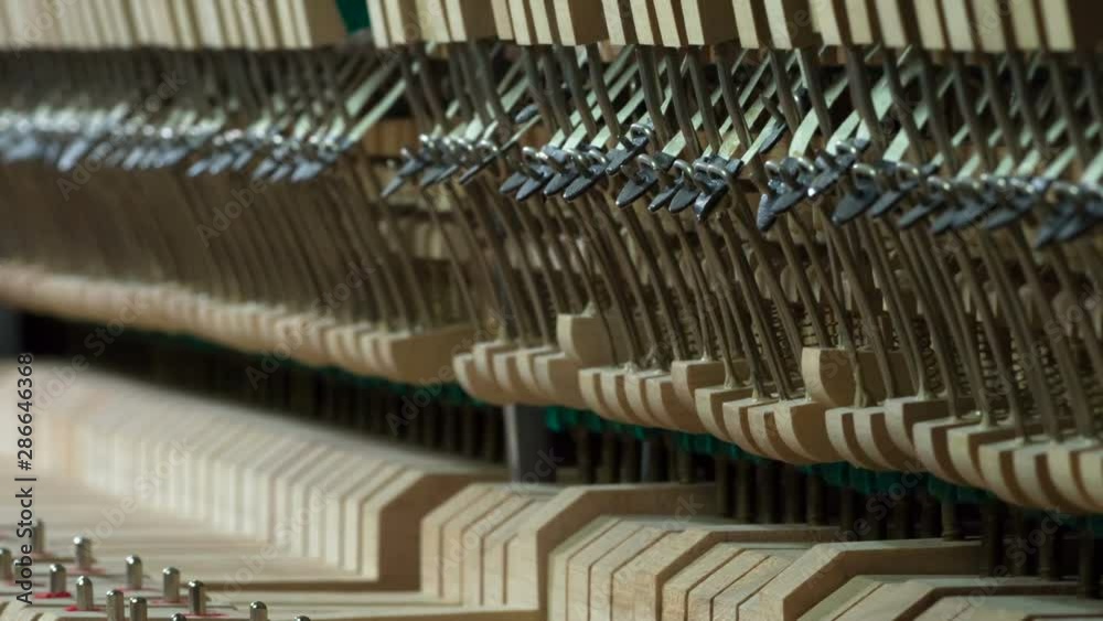 Keyboard Mechanisms Piano. The work of the keyboard mechanism and the internal arrangement of the pianoforte during the performance of the musical work Keyboard Mechanisms Piano. The work of the keyboard mechanism and the internal arrangement of the pianoforte during the performance of the musical work