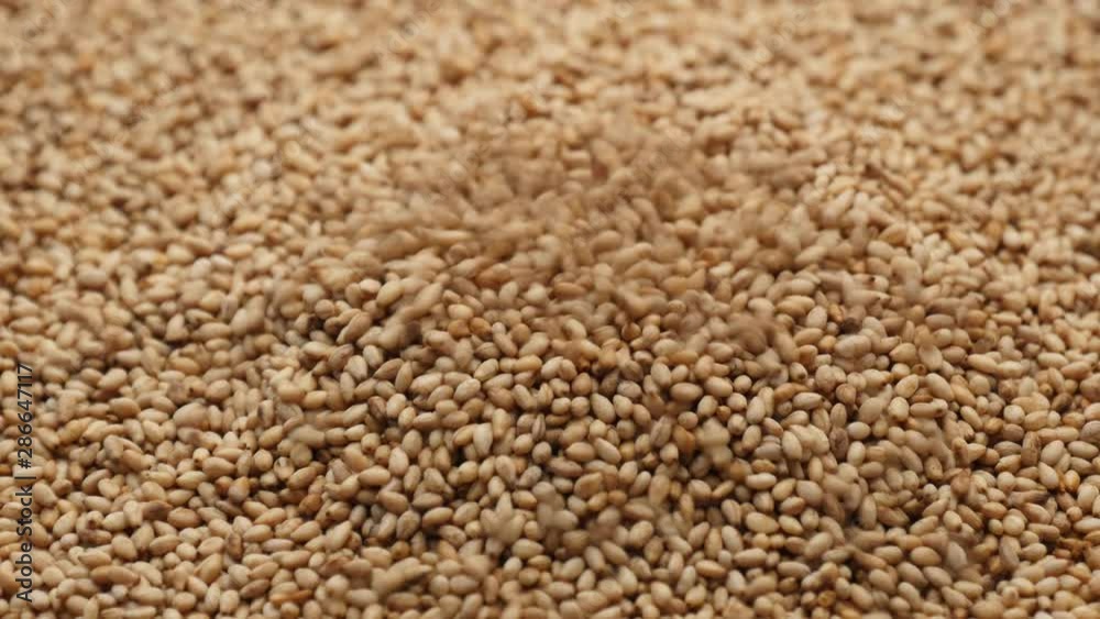 Full of sesame seeds sprinkling Full of sesame seeds sprinkling