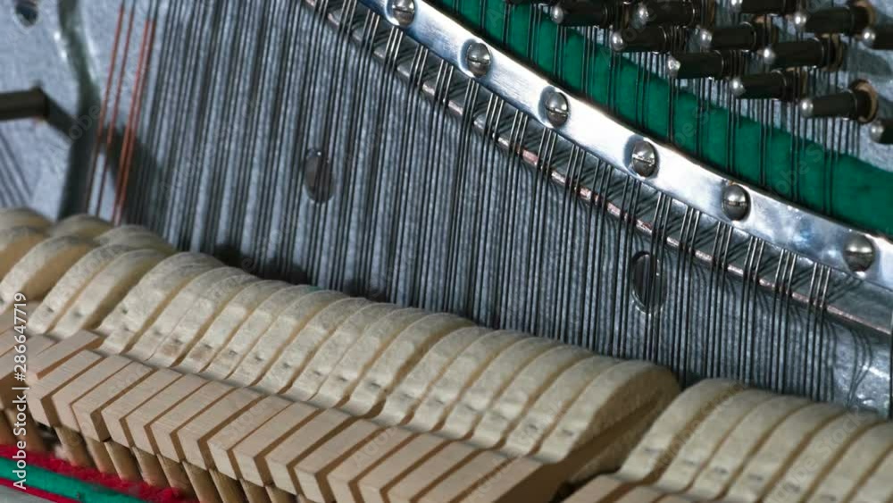 Strings and Hammers Piano. Piano hammers alternately run in different