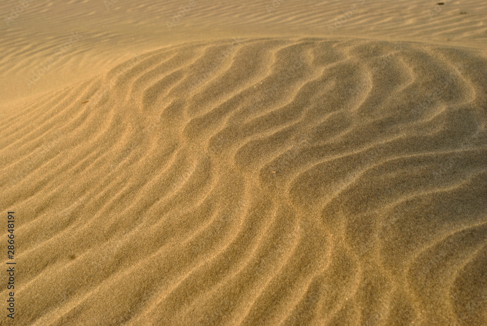 Sand dune at Parangkusumuo Beach, Yogyakarta, Indonesia. Sand dune at Parangkusumuo Beach, Yogyakarta, Indonesia.