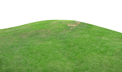 Green hill of grass field isolated on white background.