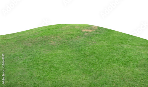 Green hill of grass field isolated on white background.