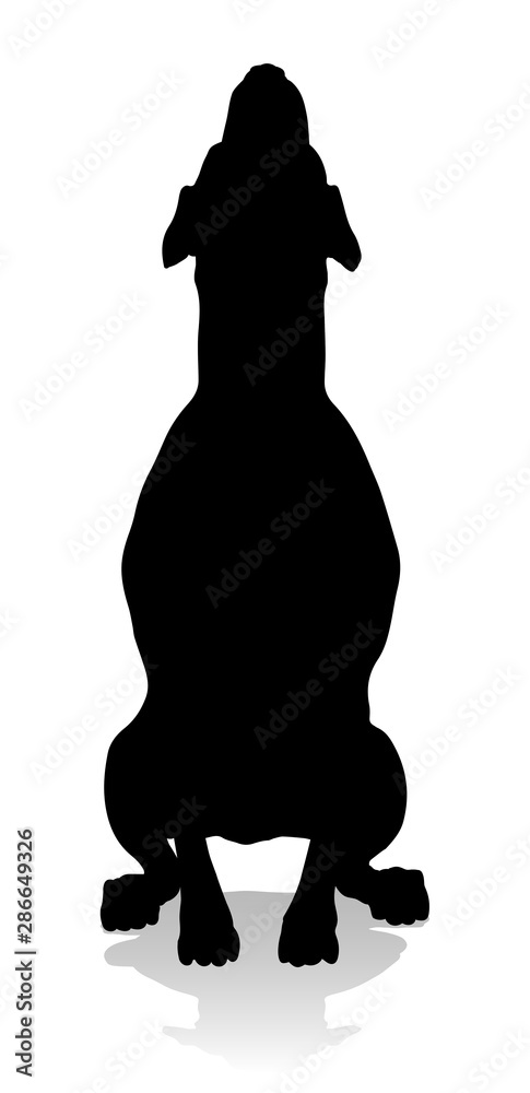 A detailed animal silhouette of a pet dog A detailed animal silhouette of a pet dog