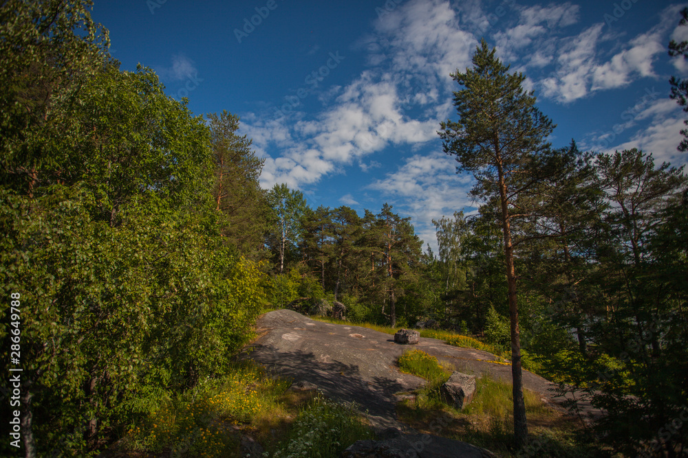 Landscape with rocks and trees. Scenic view on Lake Ladoga. The nature of Karelia