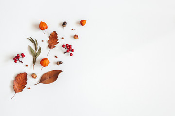 Autumn composition. Physalis flowers, eucalyptus leaves, rowan berries on white background. Autumn, fall, thanksgiving day concept. Flat lay, top view, copy space