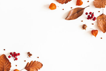 Autumn composition. Dried leaves, flowers, rowan berries on white background. Autumn, fall, thanksgiving day concept. Flat lay, top view, copy space