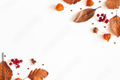 Autumn composition. Dried leaves, flowers, rowan berries on white background. Autumn, fall, thanksgiving day concept. Flat lay, top view, copy space photo
