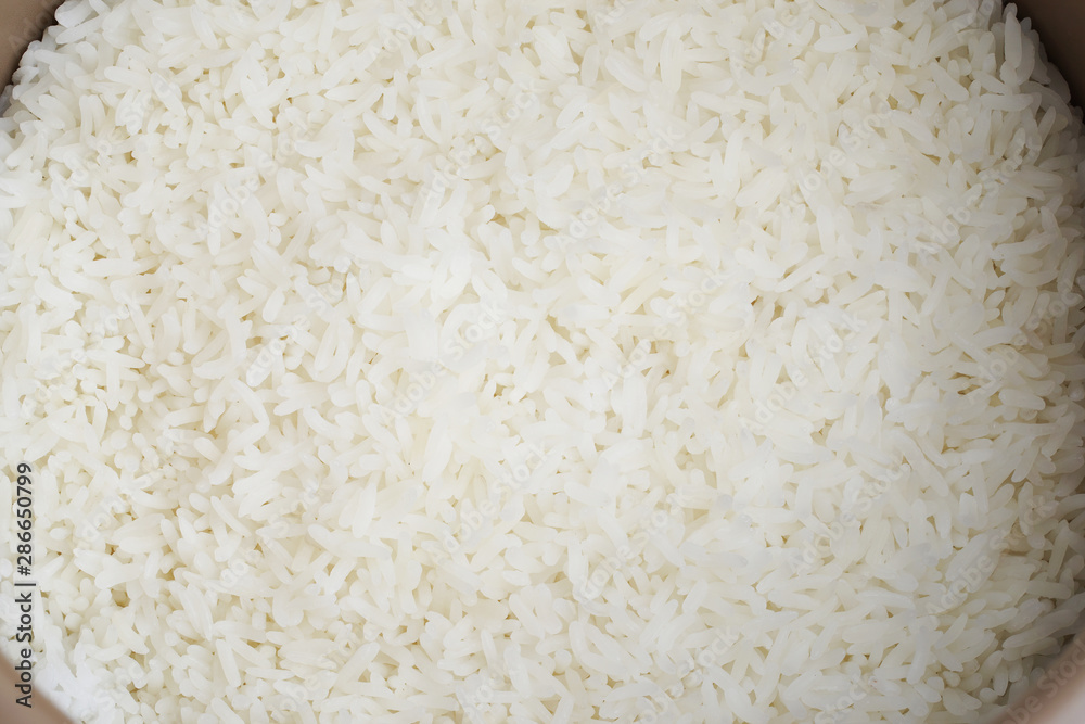 Jasmine rice cooking in electric rice cooker. Jasmine rice cooking in electric rice cooker.