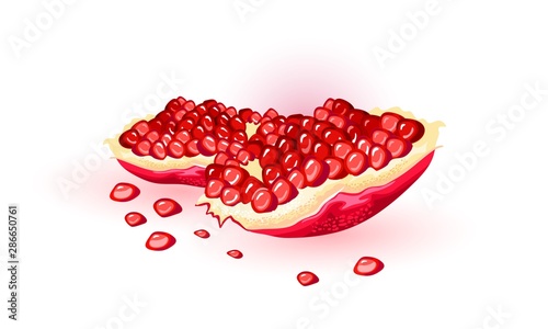 Split fresh pomegranate with red ripe gem-like seeds. Puniceous sweet fruit using for juice, smoothie, wine, meal garnishes, cocktails, alcoholic beverages. Vector cartoon illustration on white.