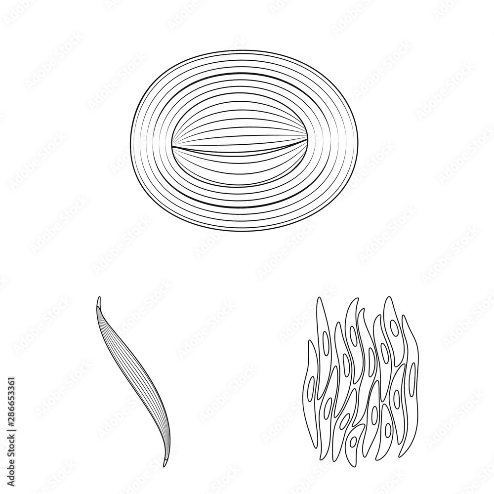 Isolated object of fiber and muscular sign. Collection of fiber and body stock symbol for web.